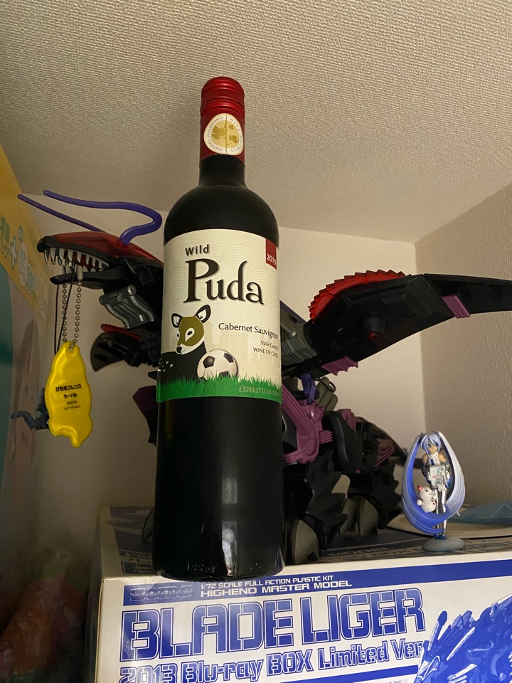 チリの赤ワイン「Puda Cabernet Sauvignon（プダ カベルネ ソーヴィニヨン）2019」