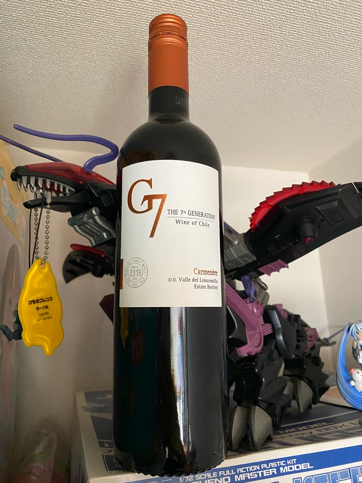 チリの赤ワイン「G7 Carmenere（ジーセブン カルメネール）2019」