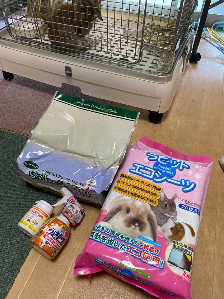 兎さんの為にORIMITSU セレクトアルファ（マメ科牧草）、SANKO ラビット エコシーツ、アリメペット、ジェックス うさピカ 頑固な尿石取り用購入