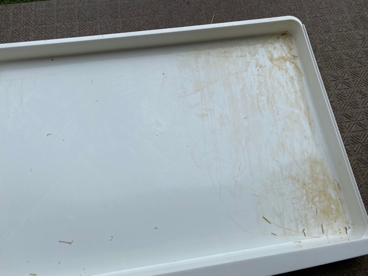 兎ゲージ下ケース清掃前