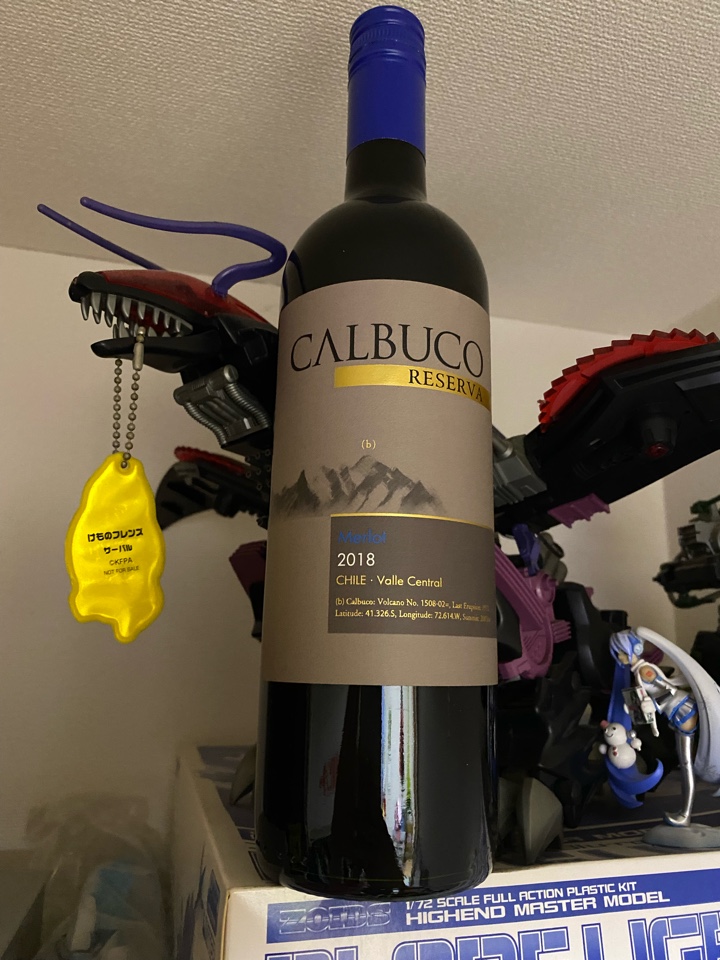 チリの赤ワイン「CALBUCO Reserva MERLOT（カルブッコ レセルバ メルロー）2018」