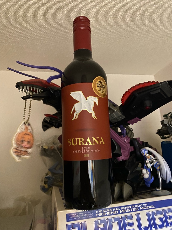 スペインの赤ワイン「SRAMA TINTO（スラナ 赤）2019」