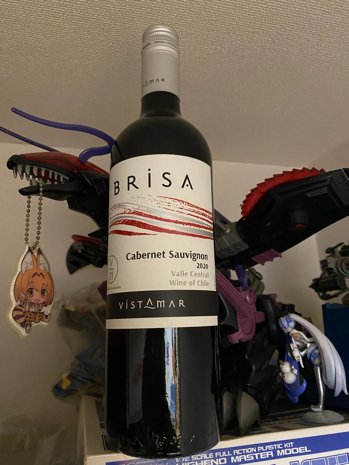 チリの赤ワイン「ViSTAMAR BRiSA Cabernet Sauvignon（ヴィスタマール ブリーサ カベルネ・ソーヴィニヨン ）2020」