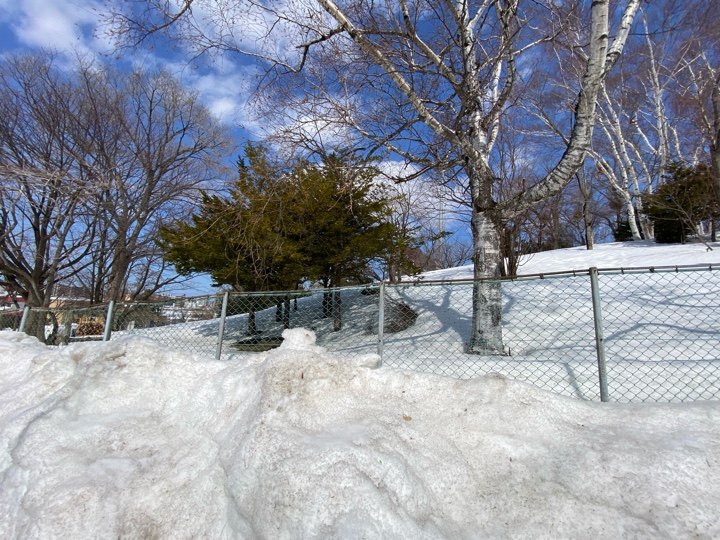 見覚えのある鉄塔やマンションが