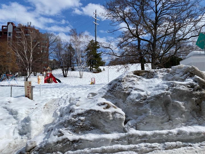 水曜どうでしょうの聖地「平岸高台公園」HTBが建てた園名碑を探すが雪で埋もれてる？