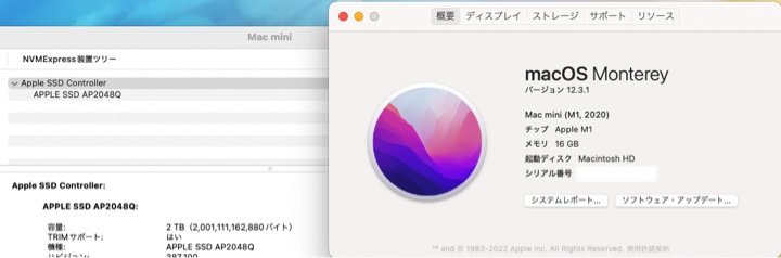 Mac mini（Mac mini (M1, 2020) Macmini9,1）を購入（カスタマイズして16GBのユニファイドメモリ、2TB SSDストレージ）macOS Monterey 12.3.1