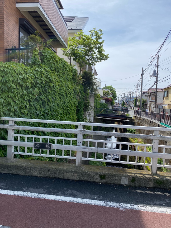 岸橋