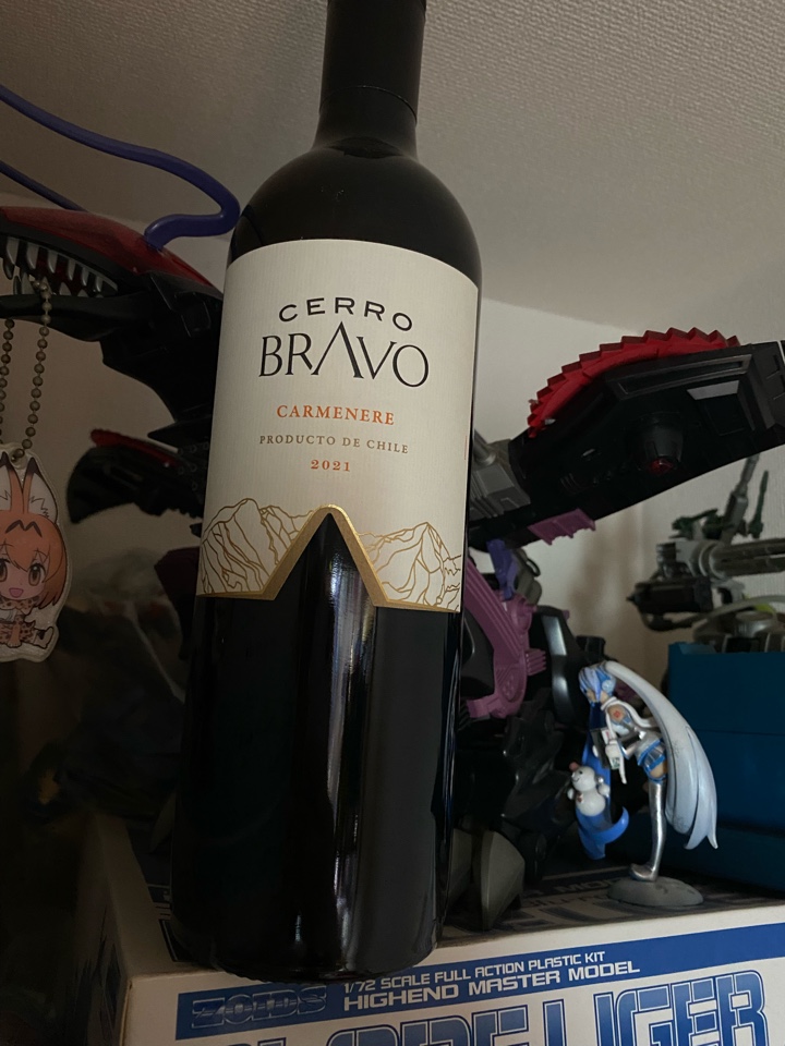 チリの赤ワイン「CERRO BRAVO CARMENERE(セロ・ブラヴォ・力ルメネール)2021」【3大銘醸地入り！世界選りすぐり赤ワイン12本セット　第148弾】