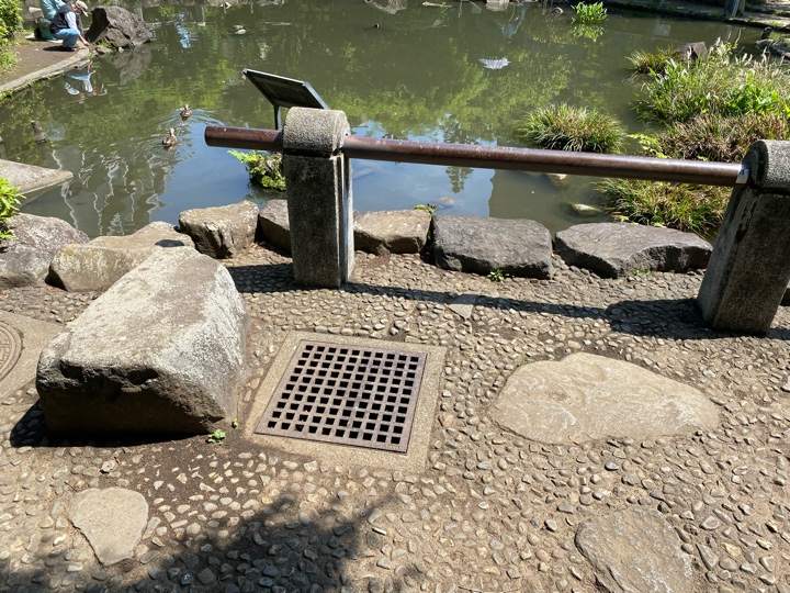 新井薬師公園 ひょうたん池