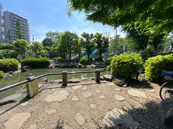 新井薬師公園 ひょうたん池