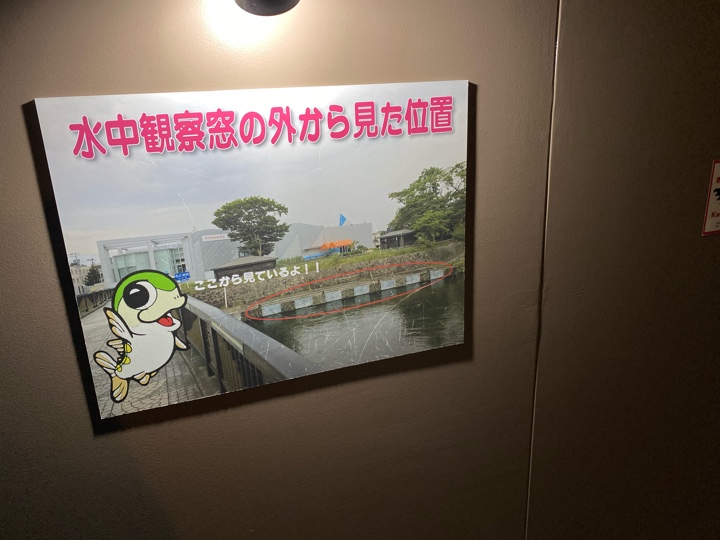 水中観察窓の外から見た位置