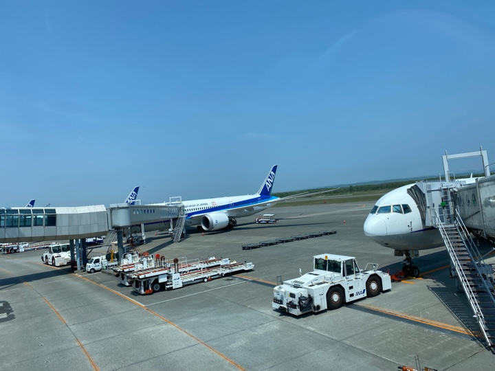 飛行機に乗ります