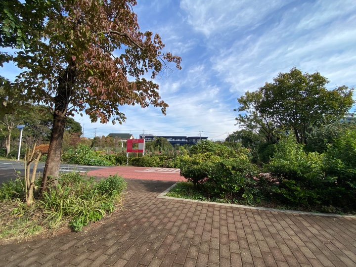保谷狭山自然公園自転車道線