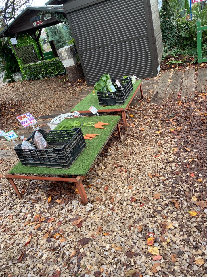 小平市 ベンズファーム 収穫仕立ての野菜売り場