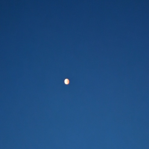 Google Pixel 5a (5G)で撮影した皆既月食