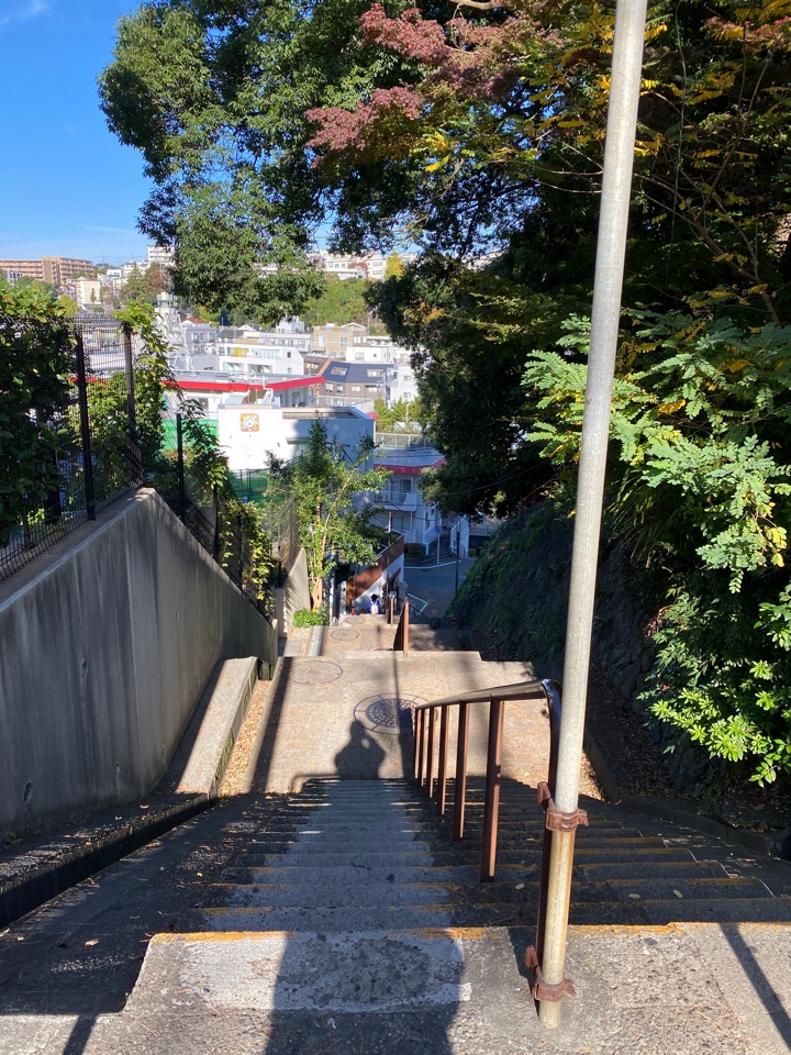 小田急の生田駅 南口からの坂、階段、上から