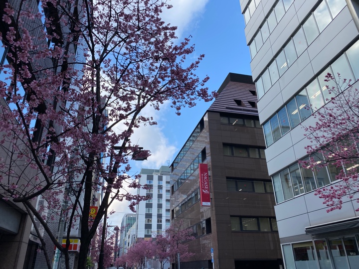 三越前（日本橋 室町）の梅