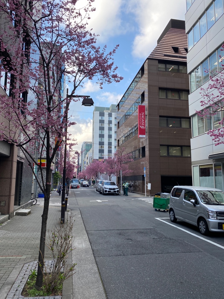 三越前（日本橋 室町）の梅