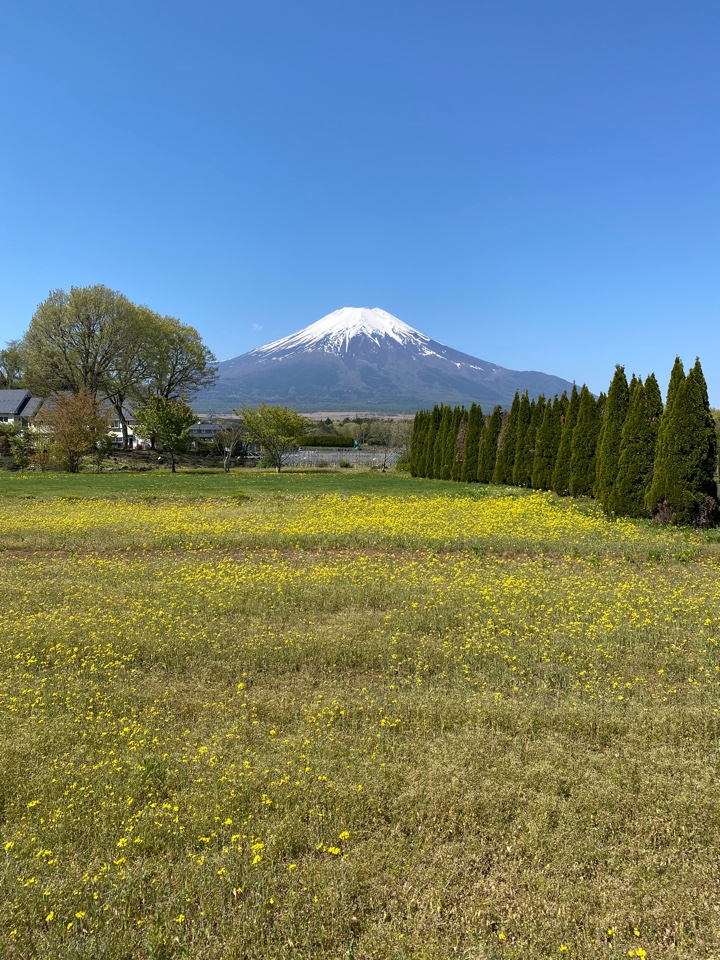 山中湖 花の都公園からの富士山
